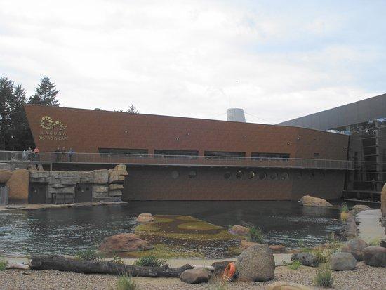 Laguna Bistro & Cafe & Restaurant